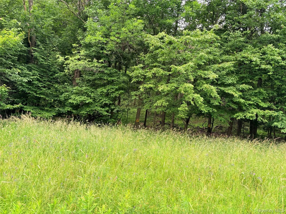 Unit for sale at T R 84, Fremont, NY 12736