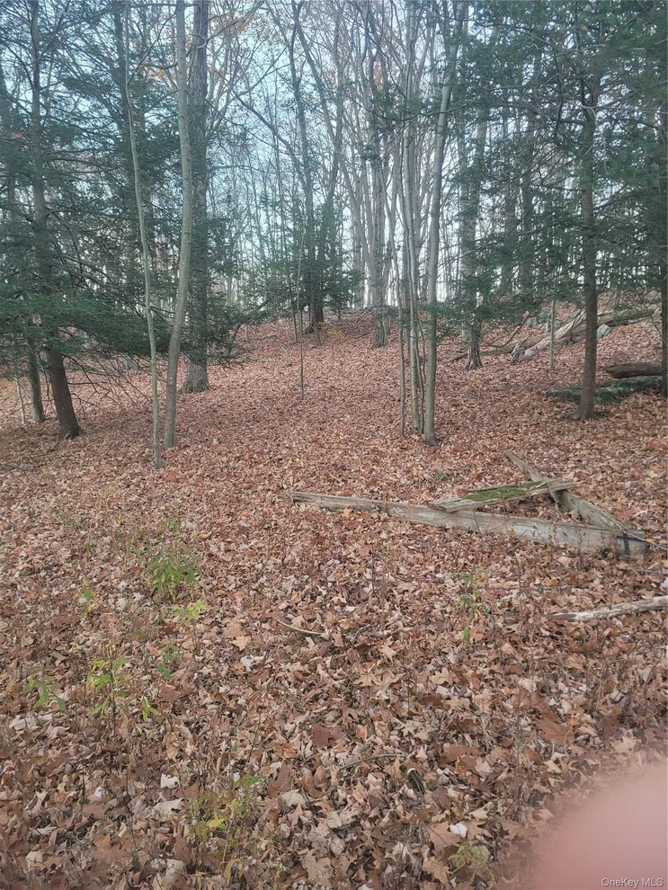 Unit for sale at 35 Shenandoah Court, Carmel, NY 10512