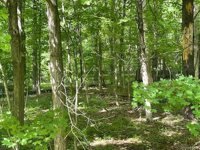 Unit for sale at Joel M Austin Road N, Cairo, NY 12413