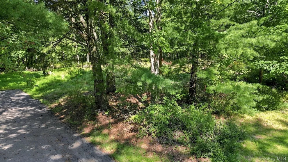 Unit for sale at 36 Spruce Street W, Mamakating, NY 12790