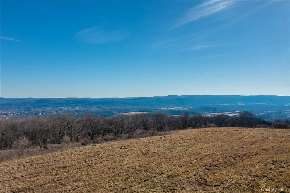 Unit for sale at 1297 Route 343, Washington, NY 12522