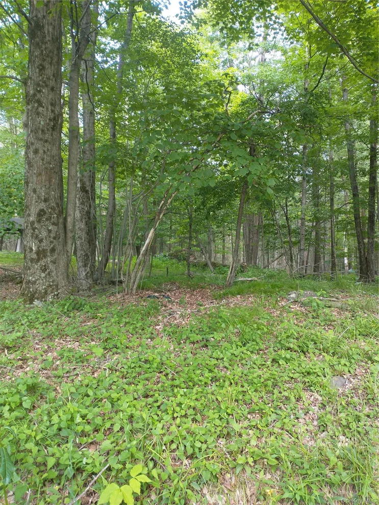 Unit for sale at Old Loomis Road, Liberty, NY 12734