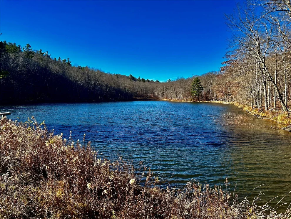 Unit for sale at 4 West Hill Road, Austerlitz, NY 