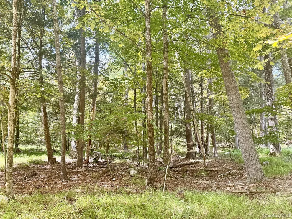 Unit for sale at 5 Trails, Deerpark, NY 12729