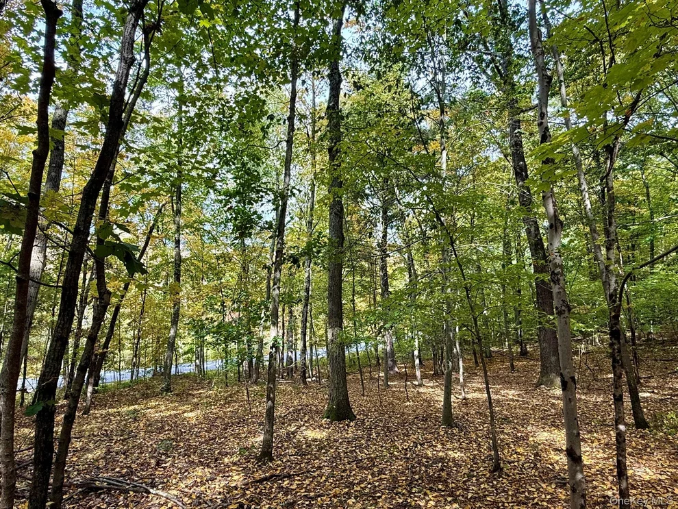 Unit for sale at Fiddlers Bridge Road, Clinton, NY 12580