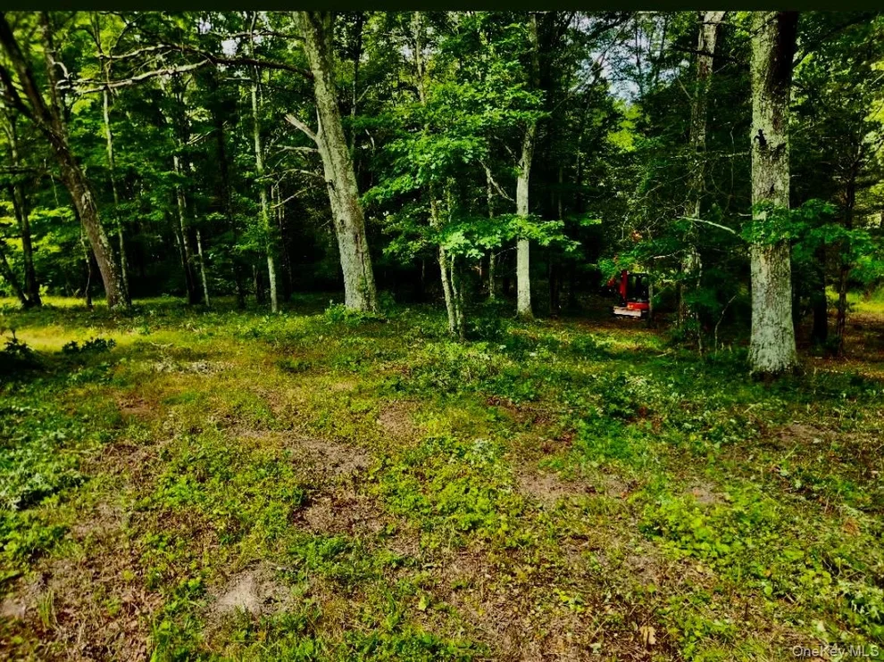 Unit for sale at 12 Talleur Road, Clinton, NY 