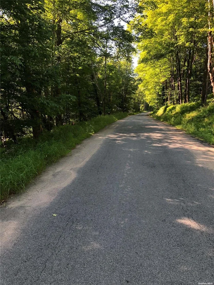 Unit for sale at 11-2-6 Benton Hollow Road, Liberty, NY 12754