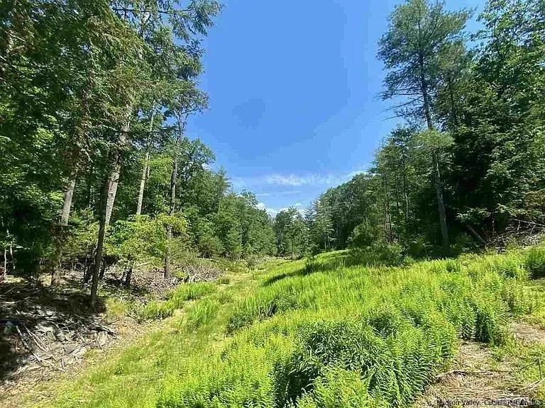 Unit for sale at TBD Mulberry Lane, Woodstock, NY 12498