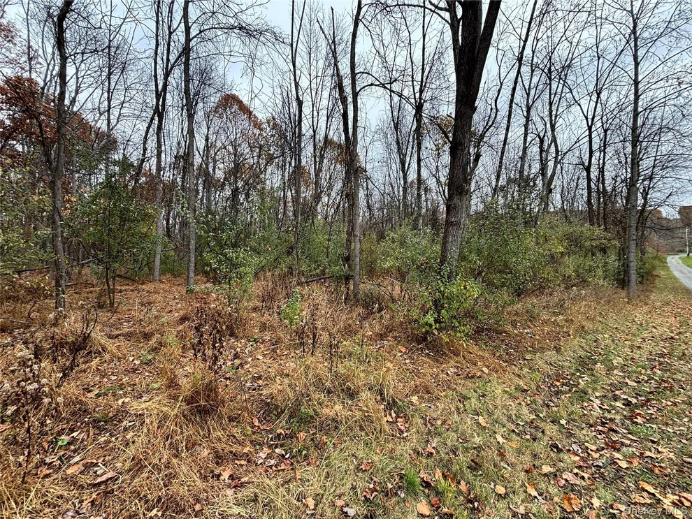 Unit for sale at Gildea Ln, Minisink, NY 10998