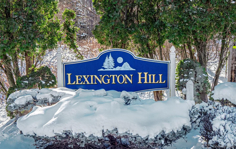 Unit for sale at 20 Lexington Hill, Monroe, NY 10926