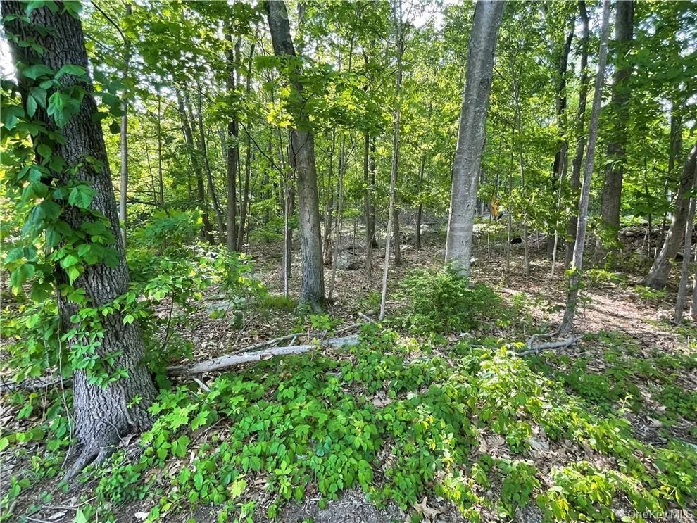Unit for sale at 75 Birch Paper Trail, Carmel, NY 10512