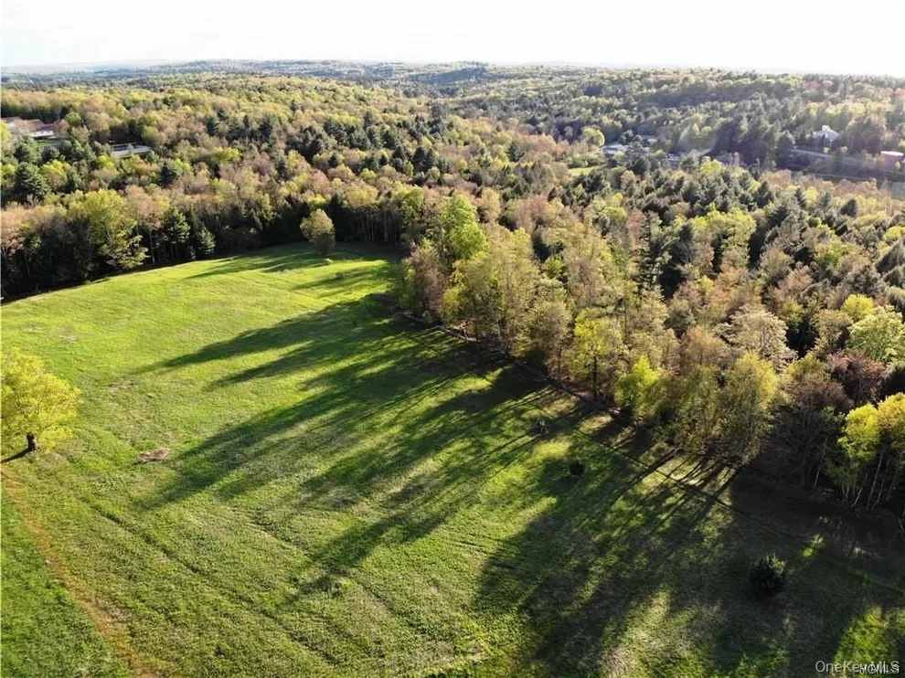 Unit for sale at 00 Benmosche Road, Thompson, NY 12701