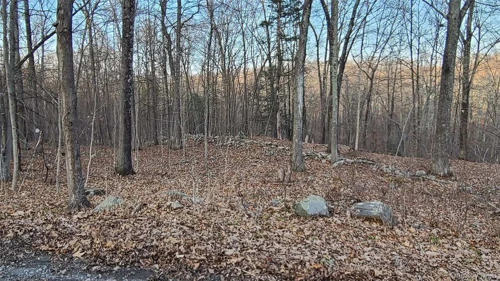 Unit for sale at TBD Hawleys Corner Road, Lloyd, NY 12528
