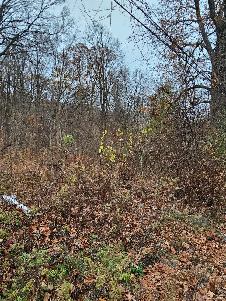 Unit for sale at 73 Sylvan Trail, Blooming Grove, NY 10950