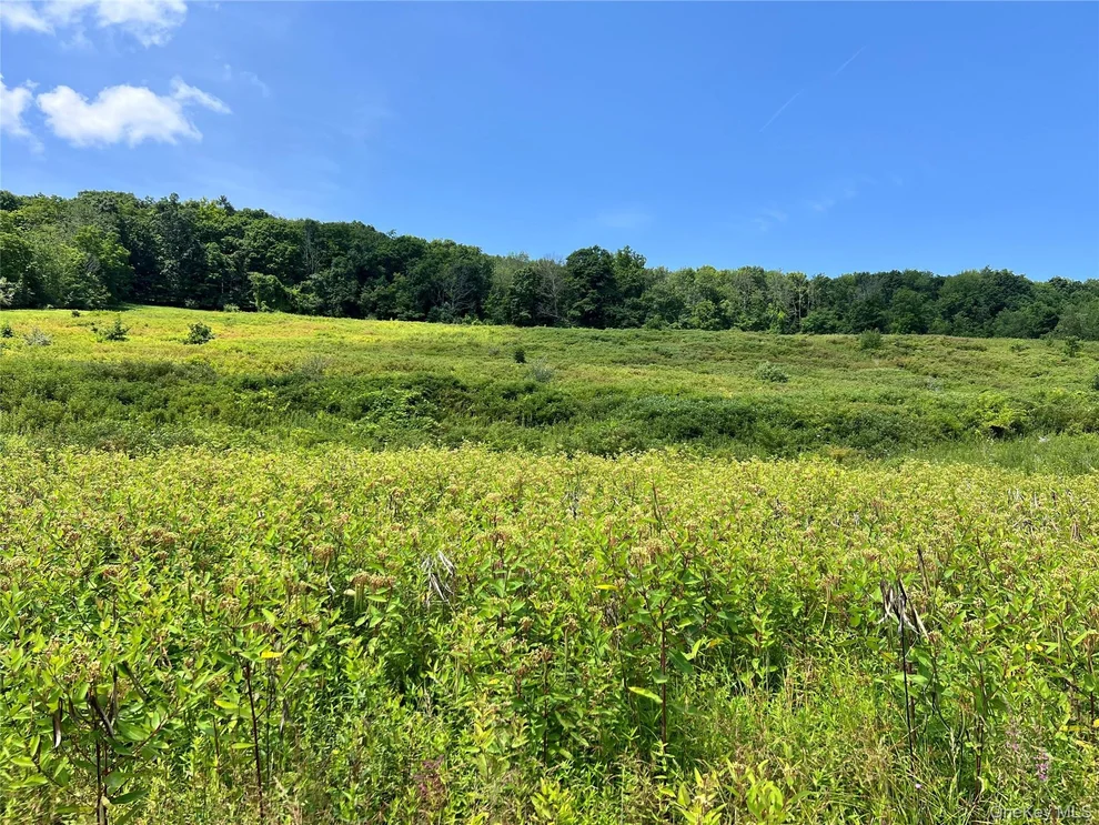 Unit for sale at Lot #4 Mountain Road, Greenville, NY 12771