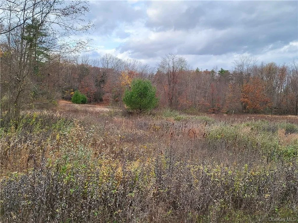 Unit for sale at Ashley Drive - Lot 5, Rosendale, NY 12472