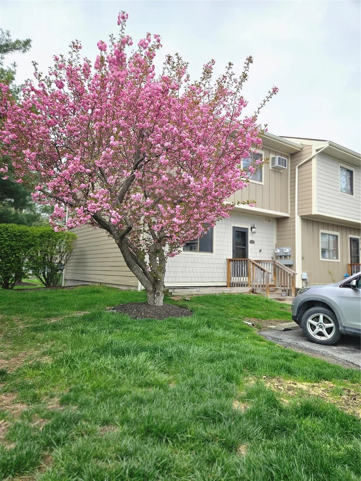 Unit for sale at 5901 Chelsea Cove N, Beekman, NY 12533