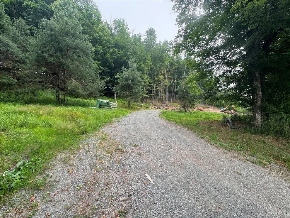 Unit for sale at Rapp Road, Thompson, NY 12701