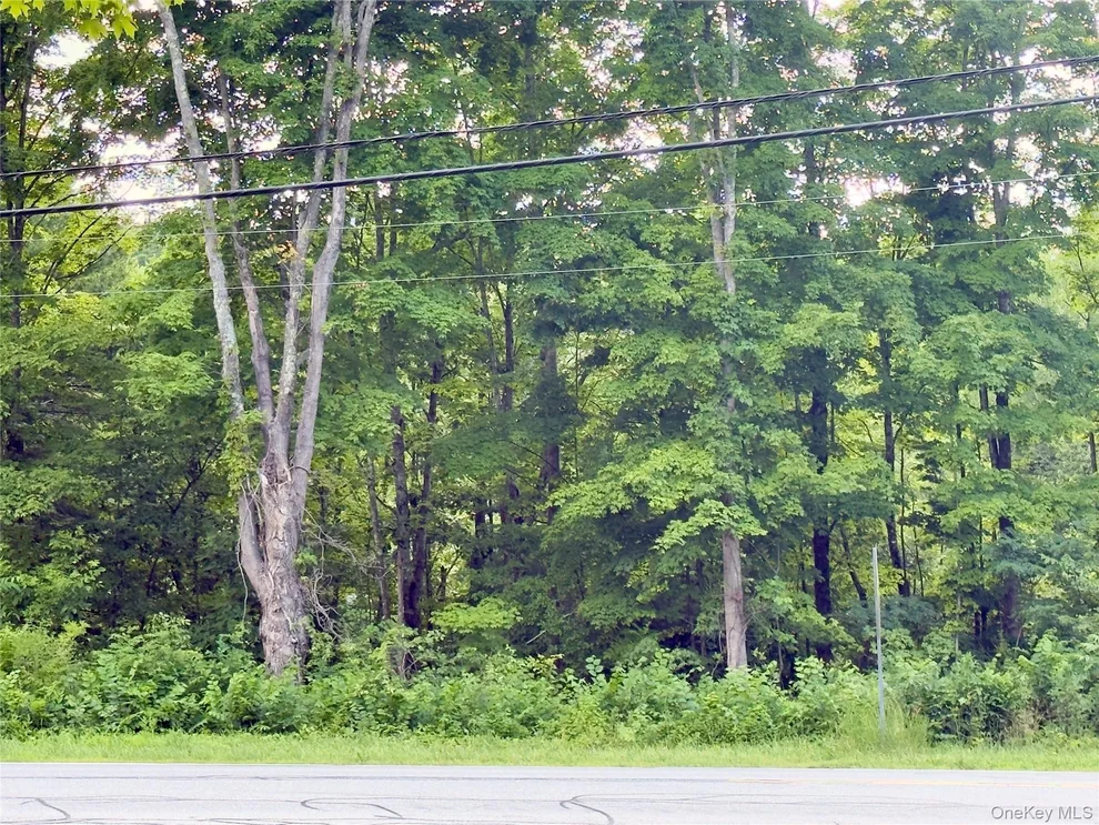 Unit for sale at 121 S Quaker Lane, Hyde Park, NY 12538
