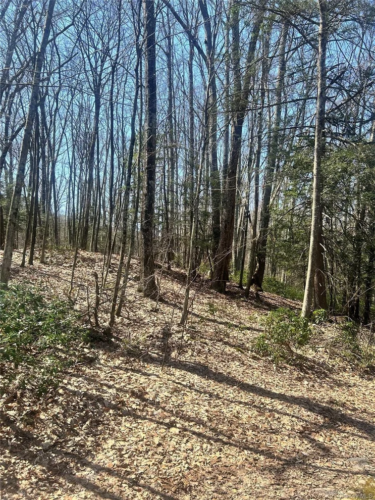 Unit for sale at TBD Sidney Street, Rochester, NY 12446
