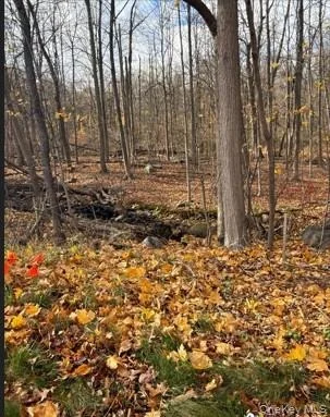 Unit for sale at 1 S Airmont Road, Ramapo, NY 10901