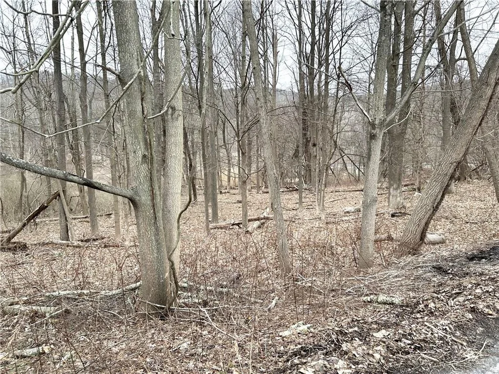 Unit for sale at Stoneleigh Avenue, Carmel, NY 10512