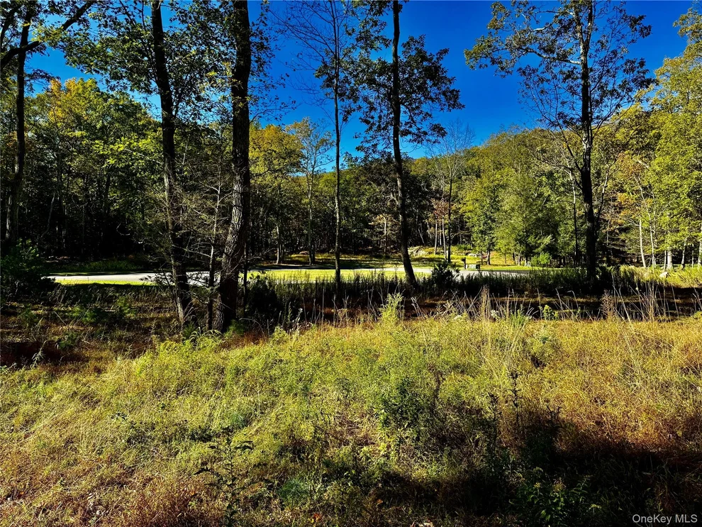 Unit for sale at 86 Falling Waters Drive, Catskill, NY 12463