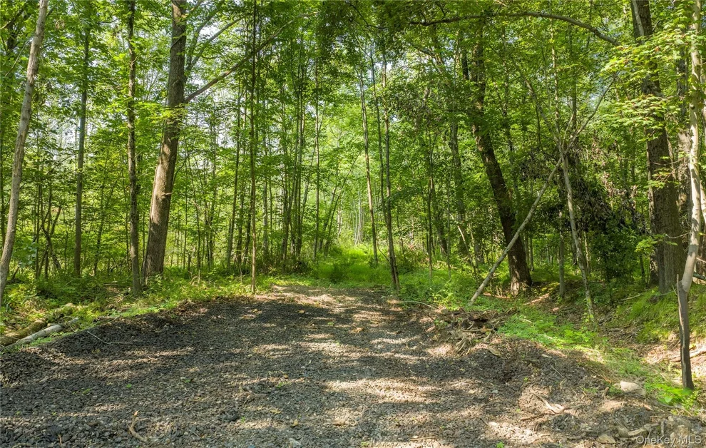 Unit for sale at (Lot 4) 111 South Street, Lloyd, NY 12528