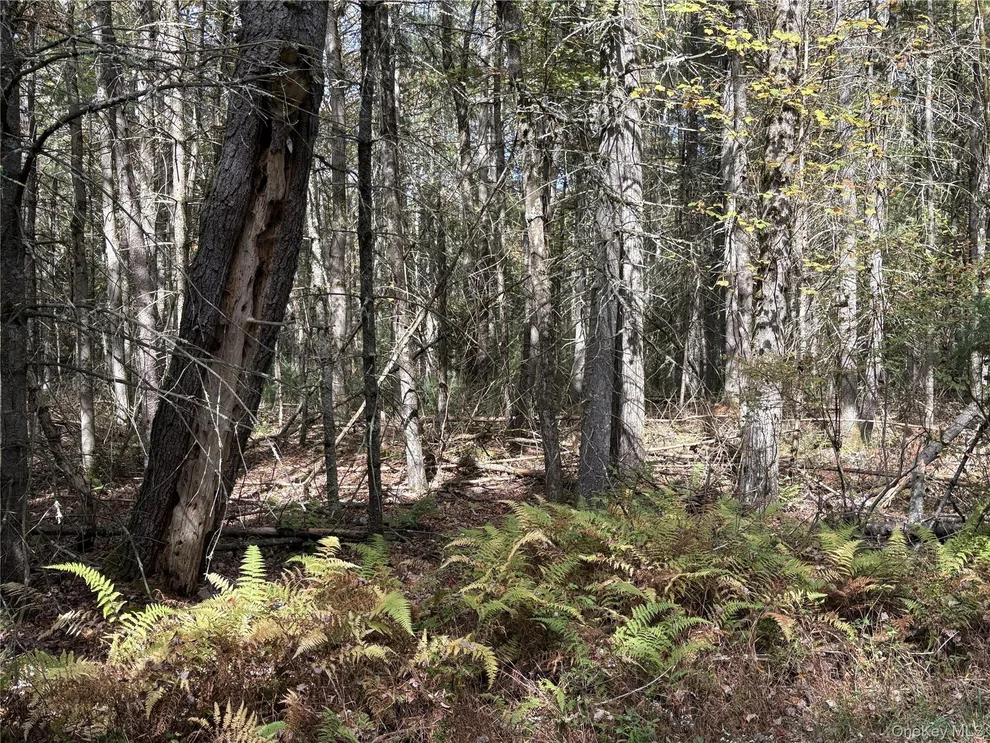 Unit for sale at 17 Lot 17 Desmond Crossing, Bethel, NY 12720