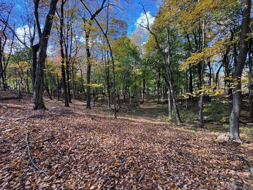 Unit for sale at 96 Somerstown Road, Ossining, NY 10562