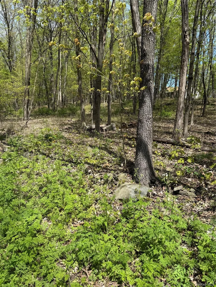 Unit for sale at 120 Floyd Ackert Road, Esopus, NY 12429