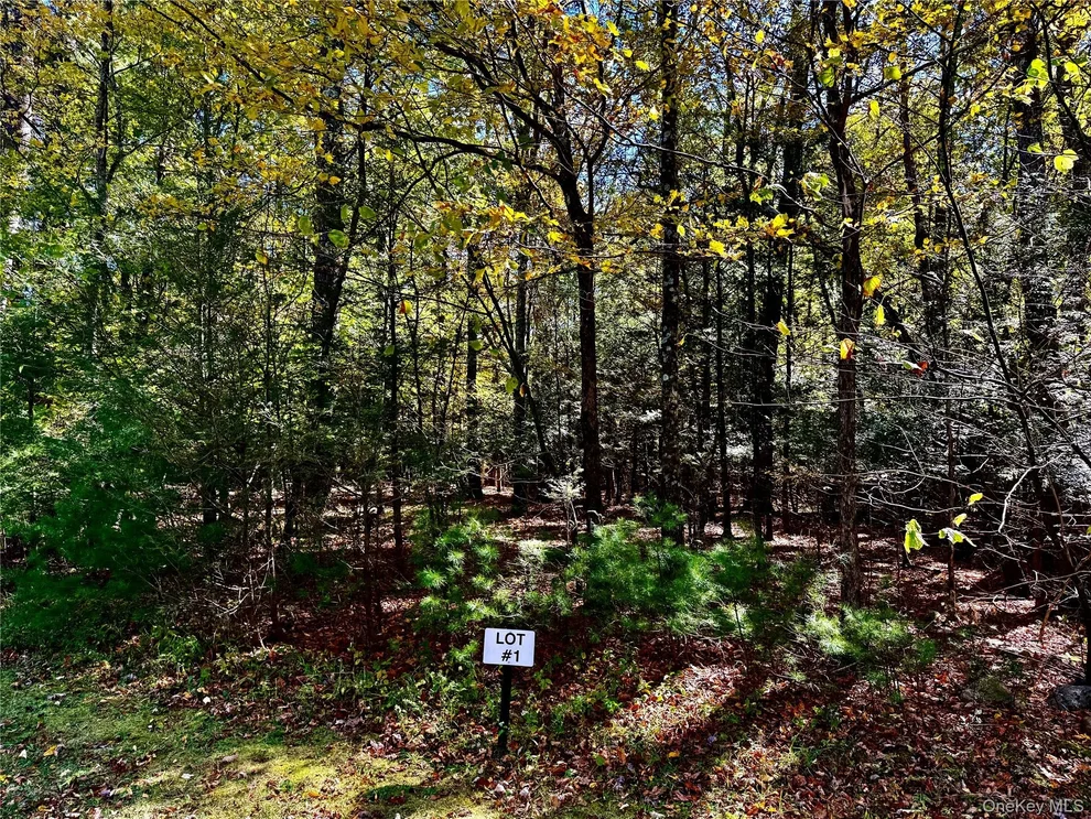 Unit for sale at 49 Falling Waters Drive, Catskill, NY 12463