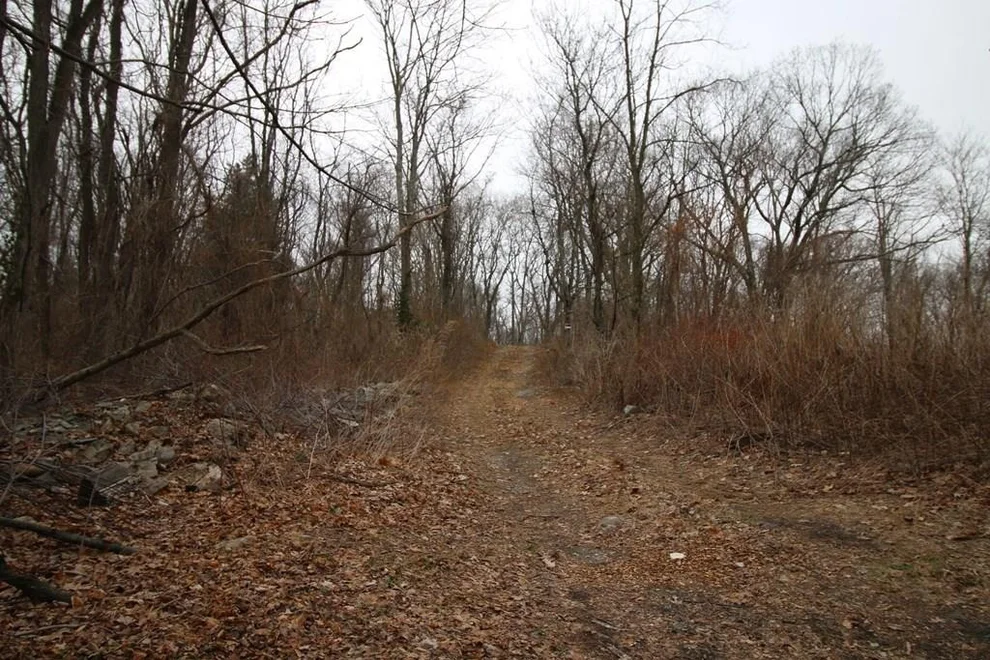 Unit for sale at 61 Buckout Road, Harrison, NY 10604