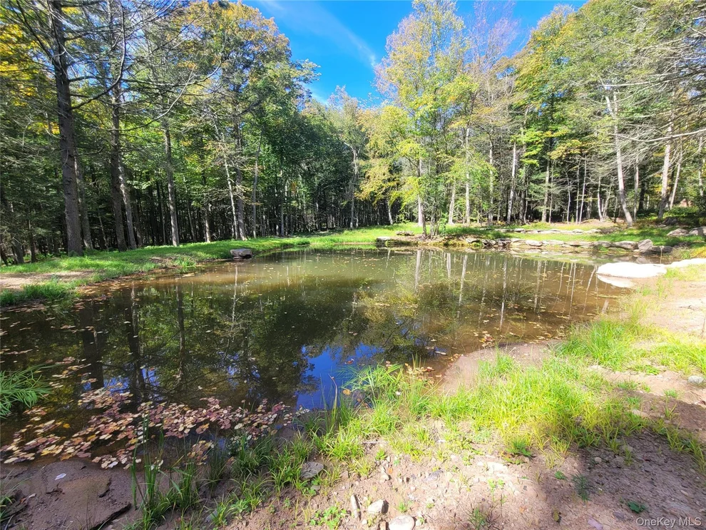 Unit for sale at 361 Ahrens Road, Liberty, NY 12768