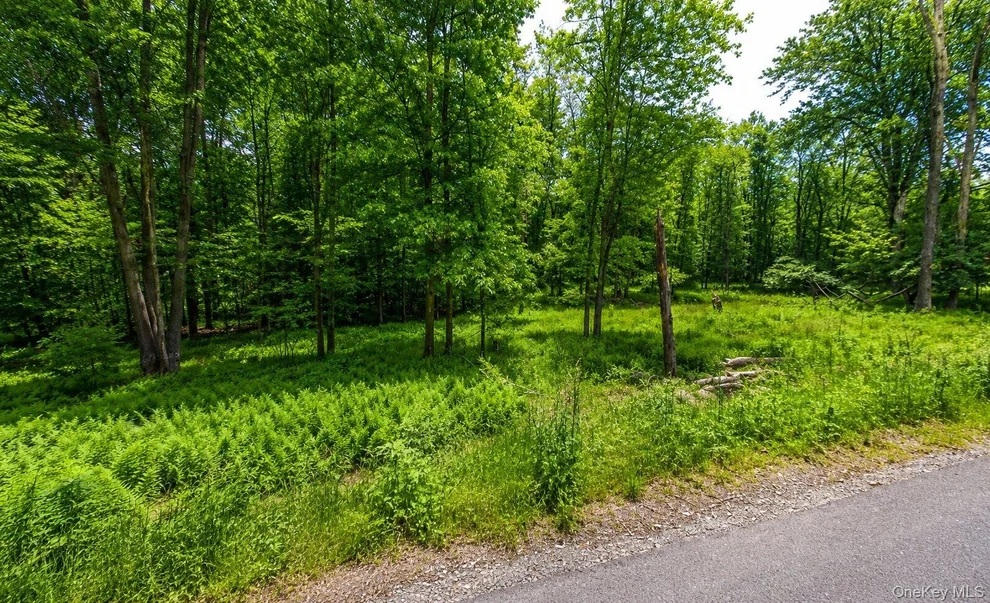 Unit for sale at 135 Rose Valley, Thompson, NY 12701
