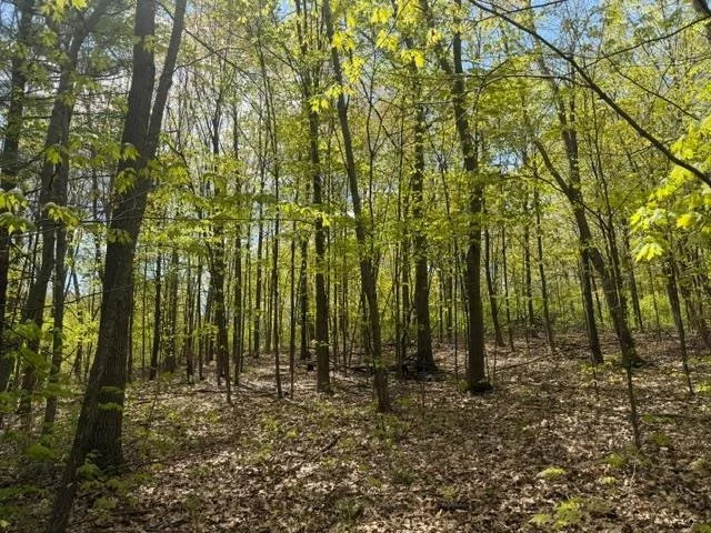 Unit for sale at TBD 1st Street, Taylors Falls, MN 55084