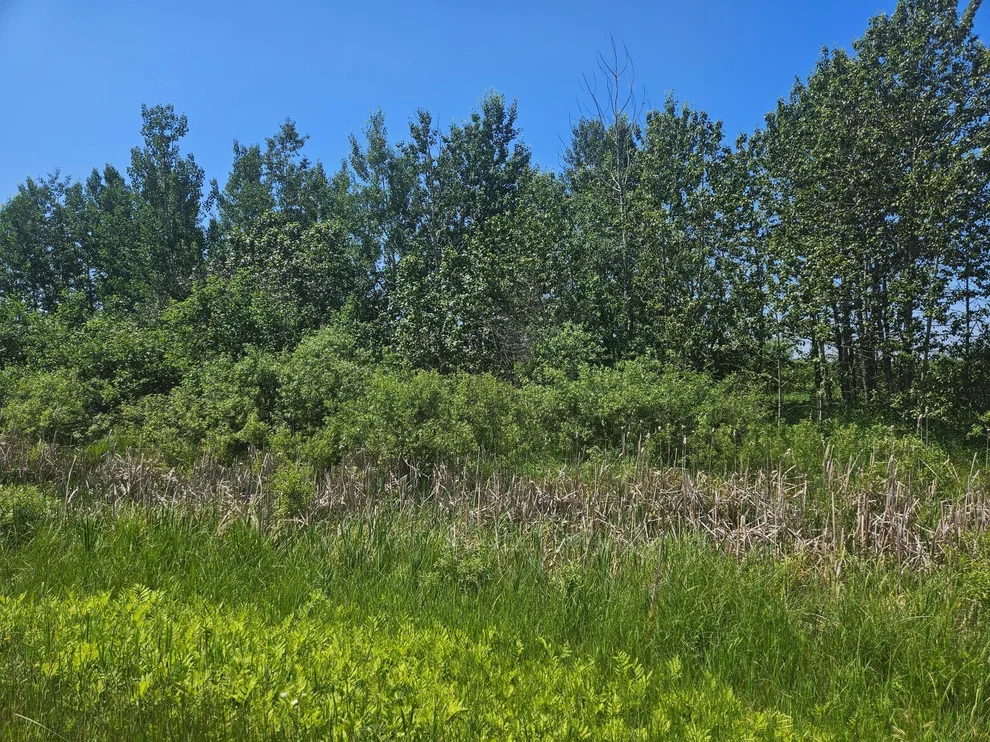 Unit for sale at xxx County Road 32, Aitkin, MN 56431