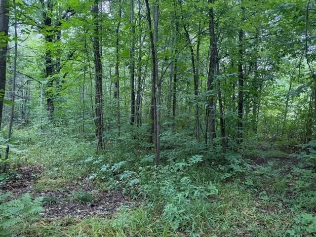 Unit for sale at 19348 170th Street, McGrath, MN 56350
