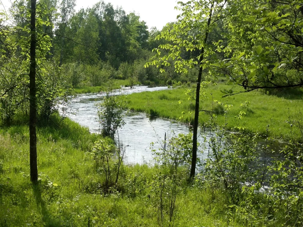 Unit for sale at 10005 Rice Road, Brook Park, MN 55007