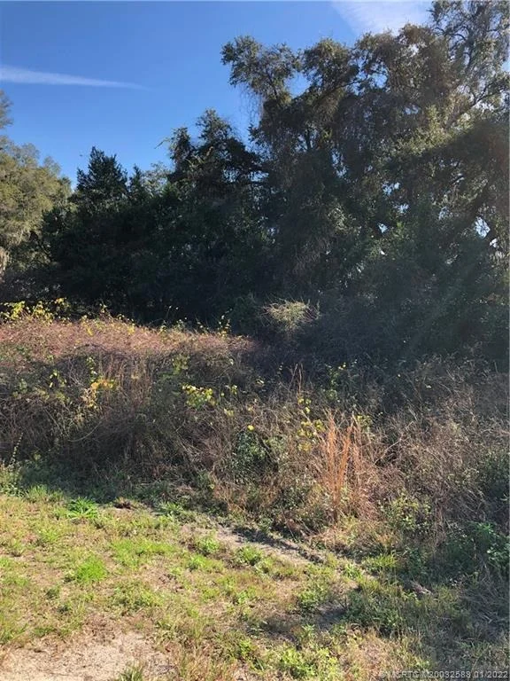 Unit for sale at 0000 Locust Run, Ocala, FL 34472