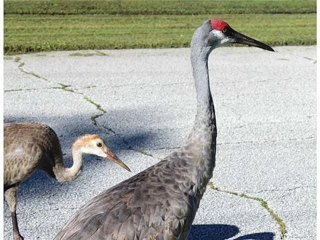 Unit for sale at 2933 SE Buccaneer Circle, Port St Lucie, FL 34952