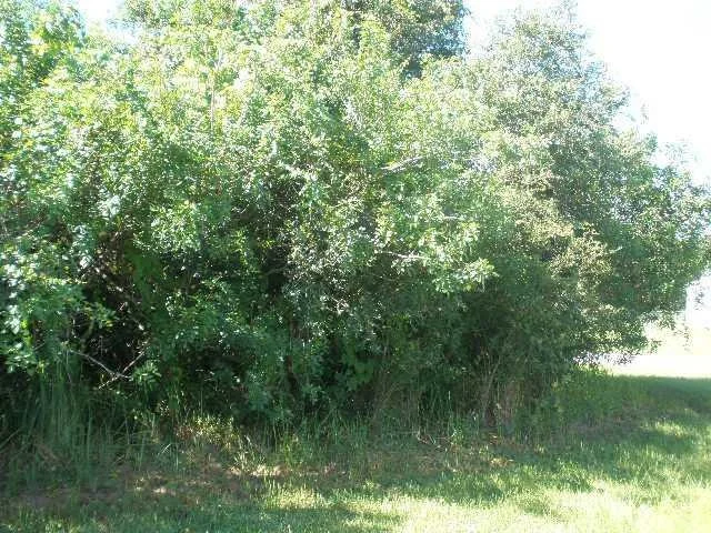 Unit for sale at 2432 SE Shell Avenue, Port St Lucie, FL 34952