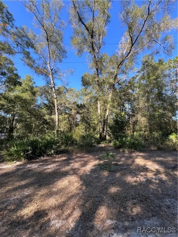 Unit for sale at O SE 179TH Place, Summerfield, FL 34491