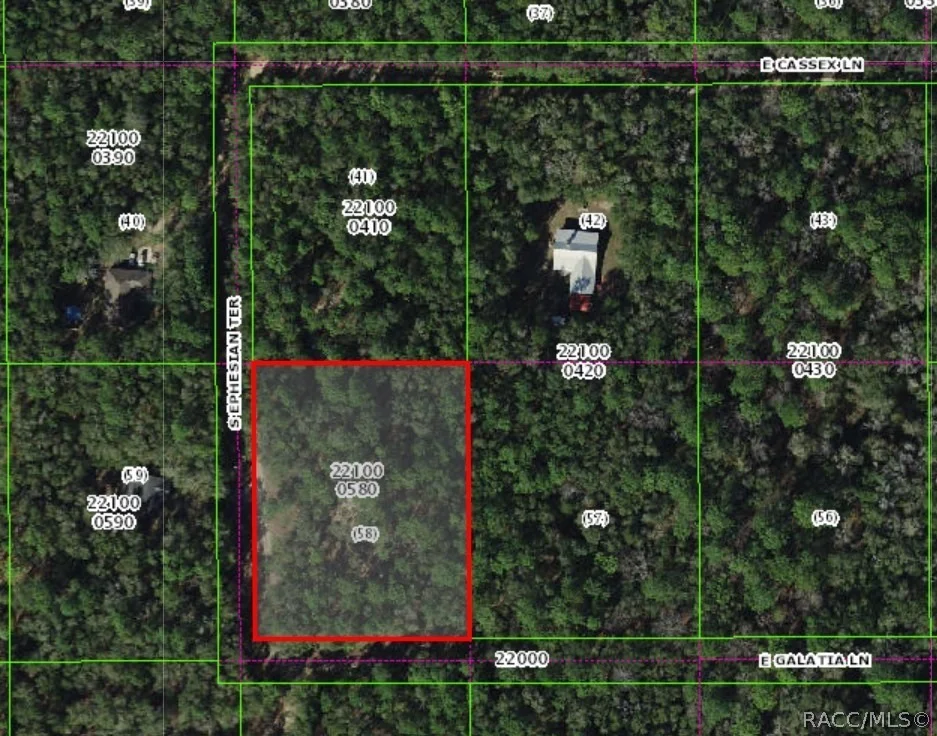 Unit for sale at 13407 S Ephesian Terrace, Floral City, FL 34436