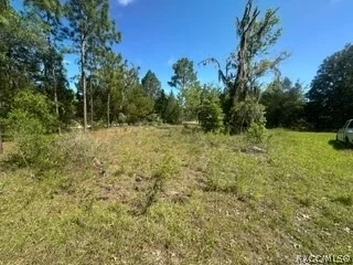 Unit for sale at 3216 AMPHIBIAN Point, Crystal River, FL 34428