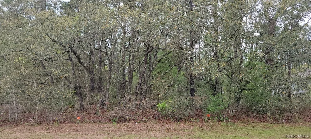 Unit for sale at 7662 N Maltese Drive, Citrus Springs, FL 34433
