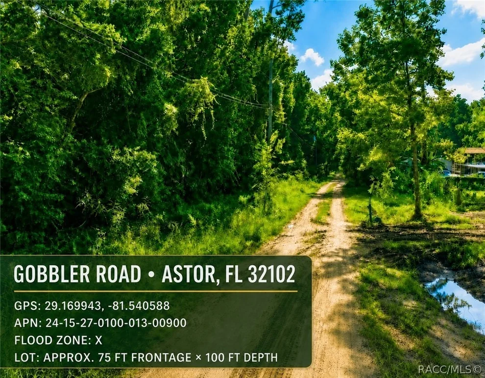 Unit for sale at 0 GOBBLER Road, Astor, FL 32102