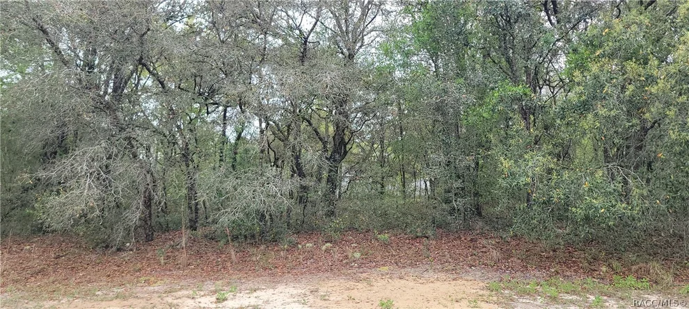 Unit for sale at 3028 W Randolph Lane, Citrus Springs, FL 34433