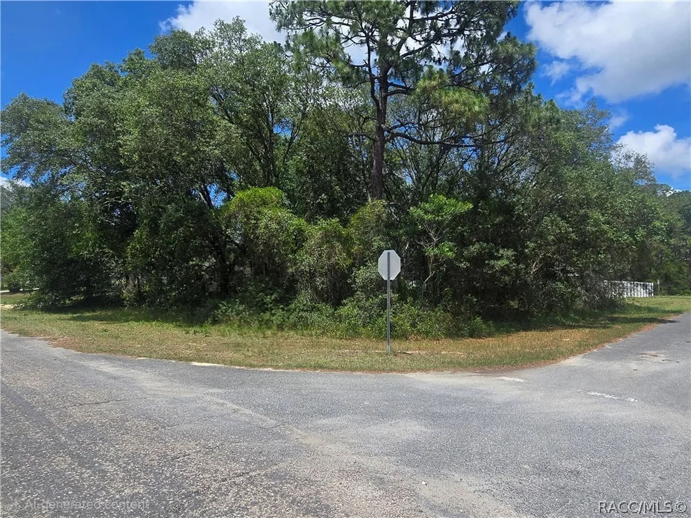 Unit for sale at 8467 N Empire Avenue, Citrus Springs, FL 34433