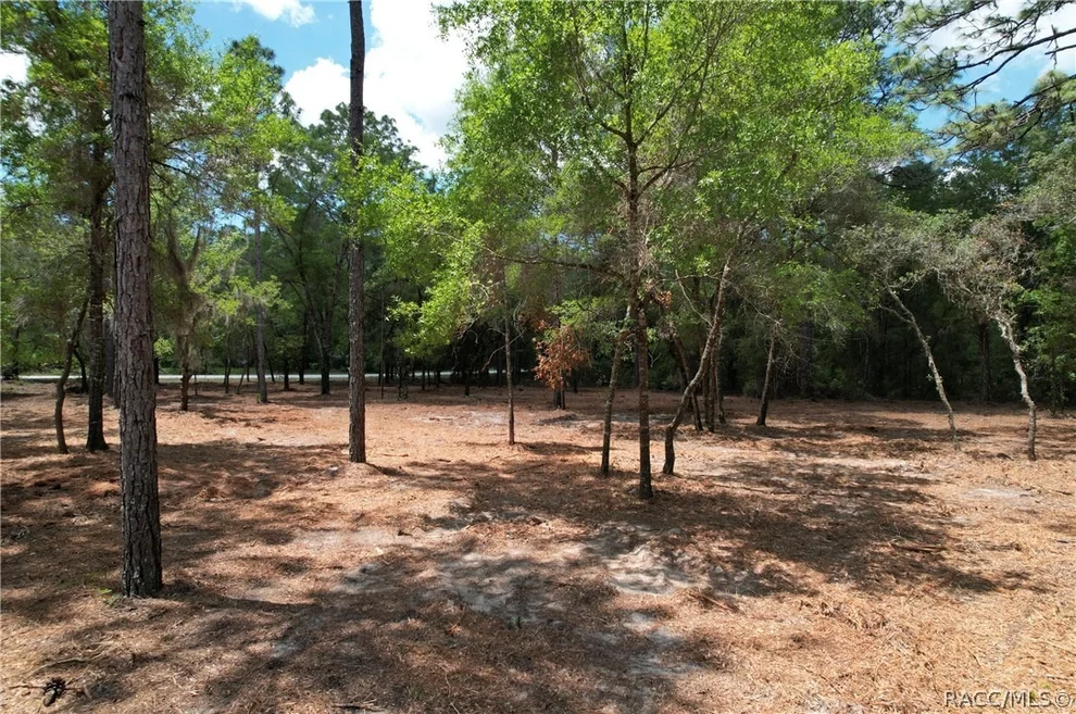 Unit for sale at 6925 W Copenhagen Street, Dunnellon, FL 34433